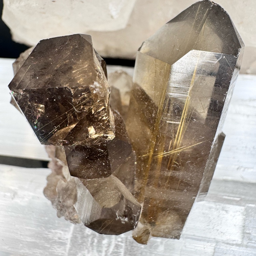 Smokey Quartz Cluster With Golden Rutile Brazil - Picture 6 of 9